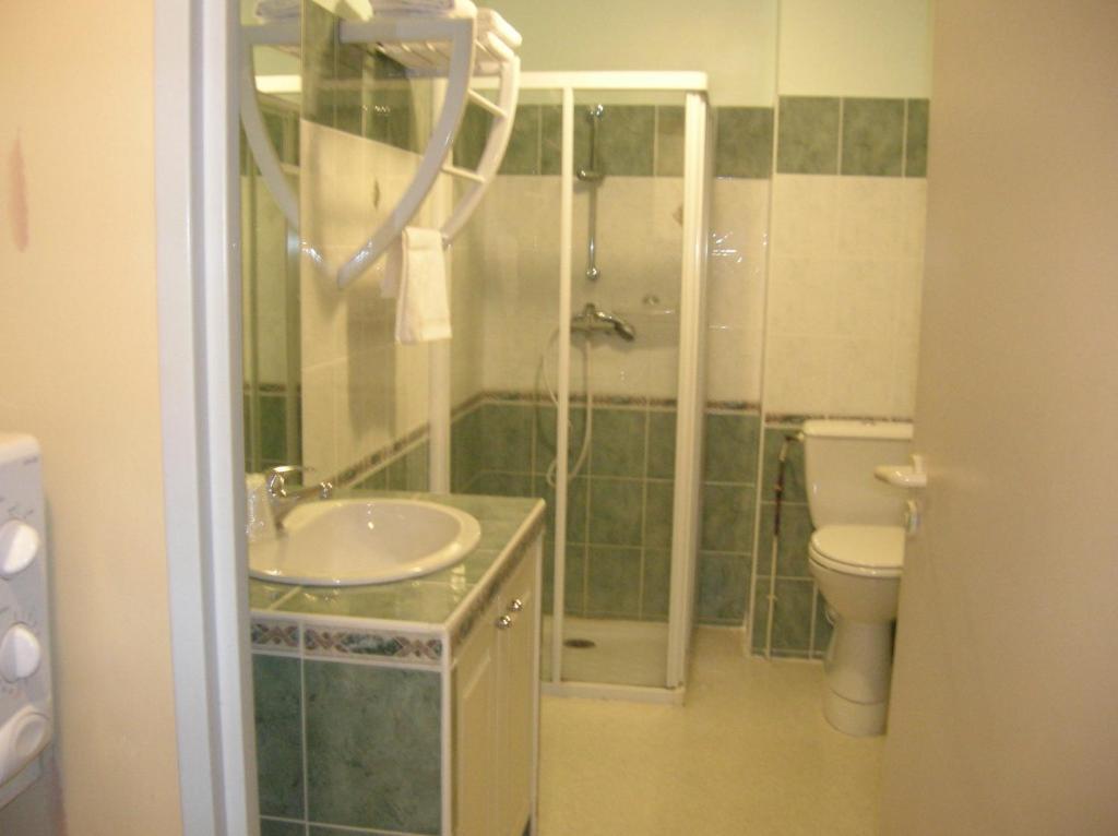 Les Berges Du Tarn Aparthotel Millau Room photo